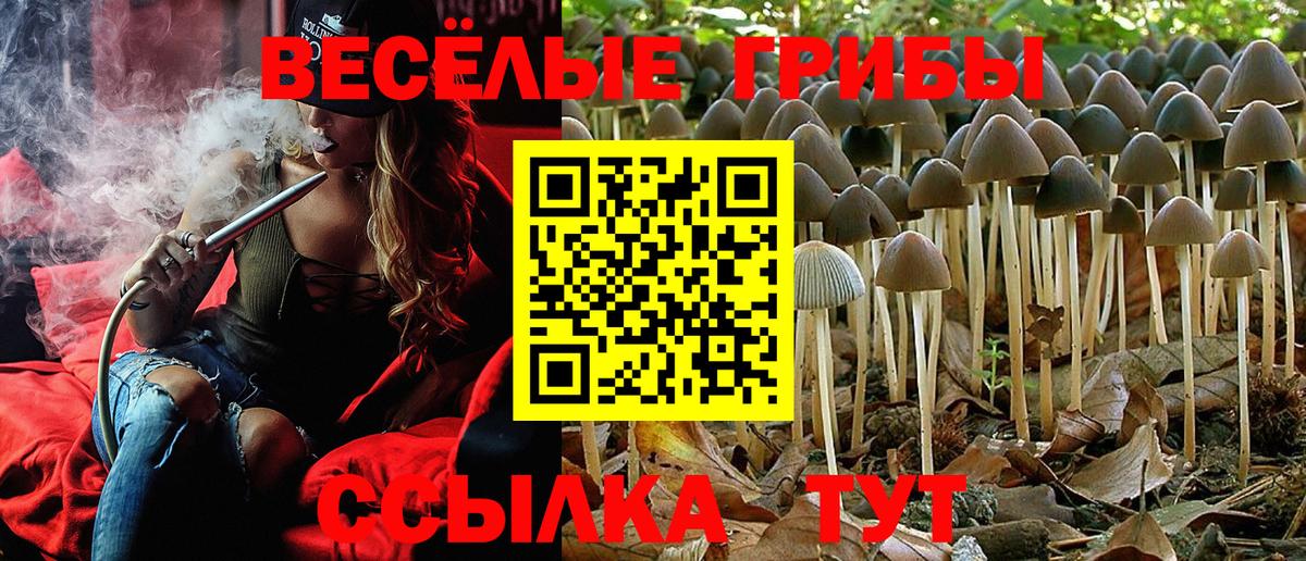 Псилоцибиновые грибы GOLDEN TEACHER  Вход с VPN  Шатура 