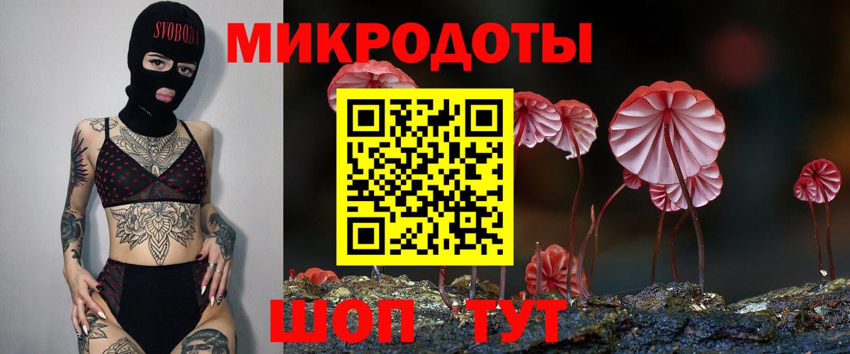 Псилоцибиновые грибы Psilocybine cubensis Шатура